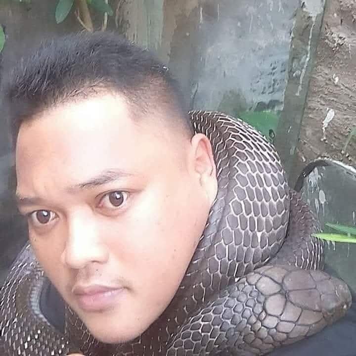 Sawa Ng Bisaya